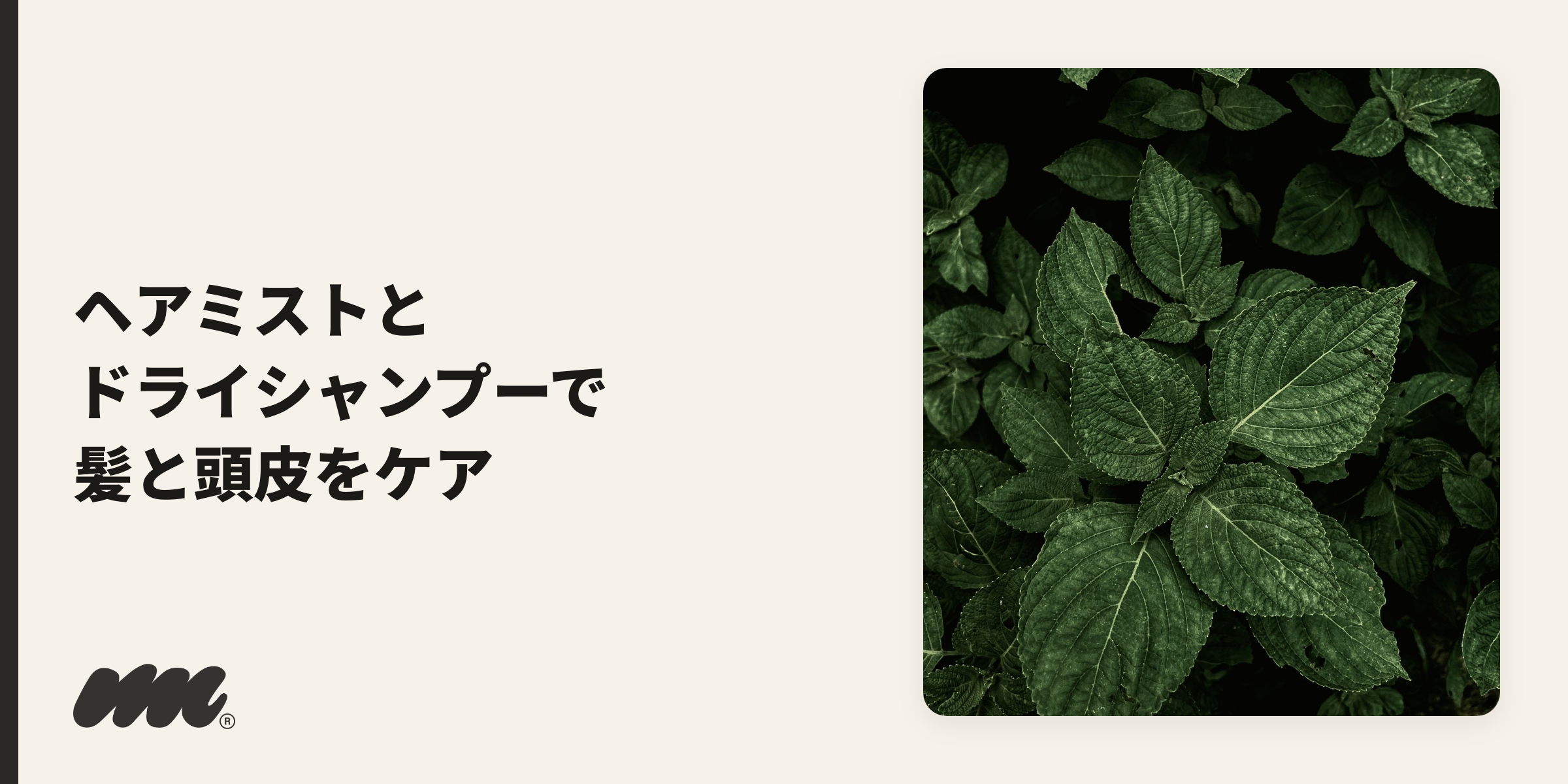 髪・服の消臭ケアをイメージするミントの爽快感