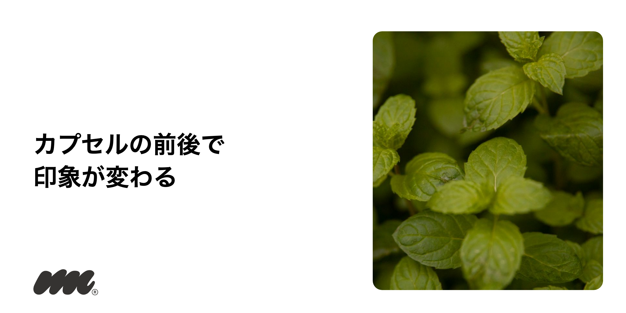 味の感想は公式が示すものではないため、ここでは発売当日に公開された試喫レポートを出典付きで紹介します